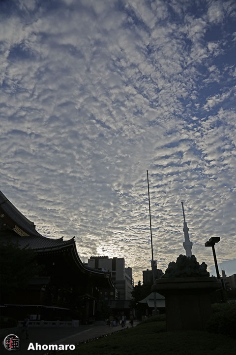 写真00