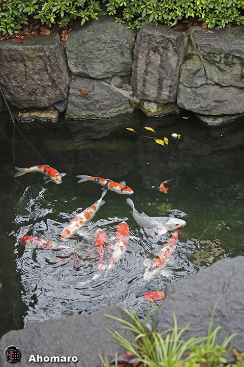 写真00