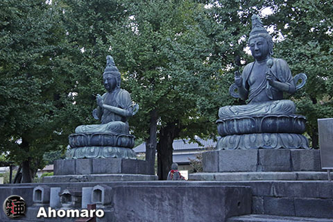 写真00