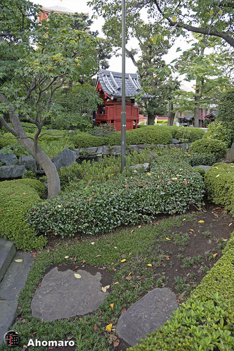 写真00