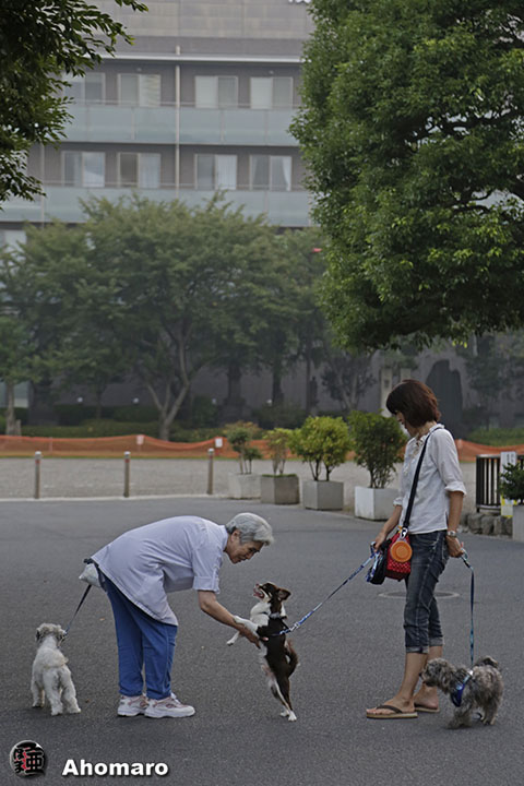 写真00