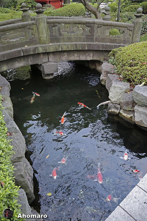 写真00