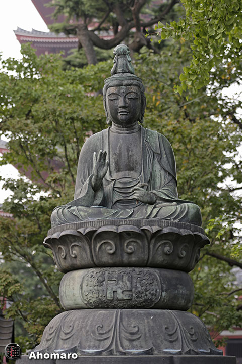 写真00