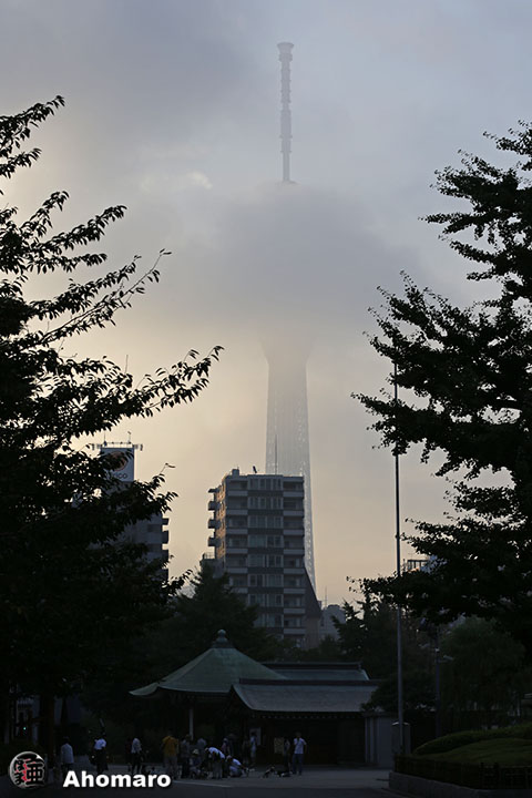 写真00