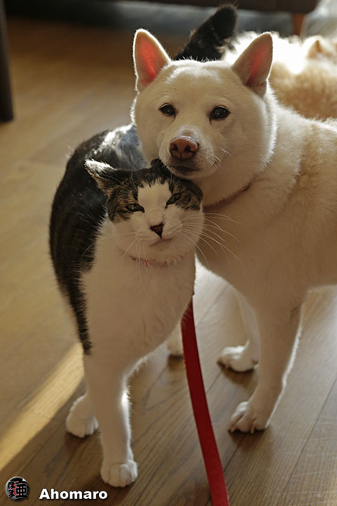 写真00