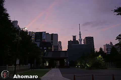 写真00