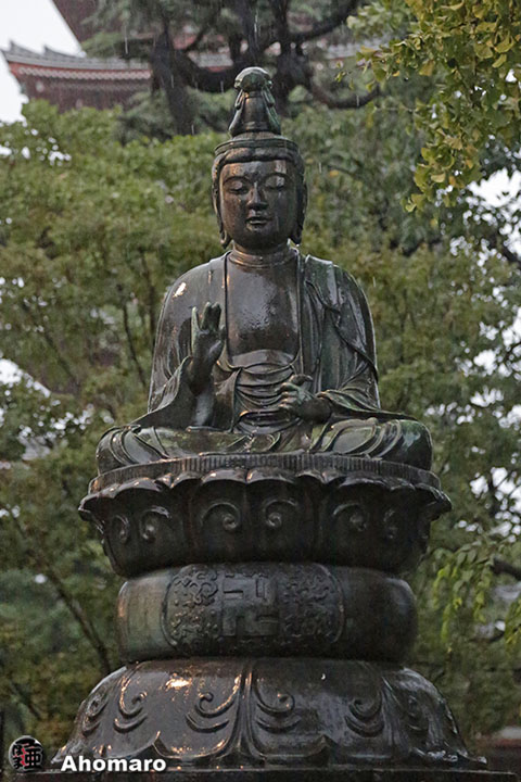 写真00
