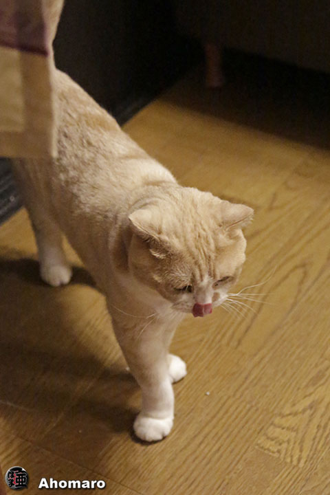 写真00