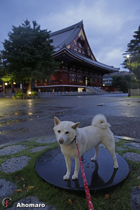 写真00