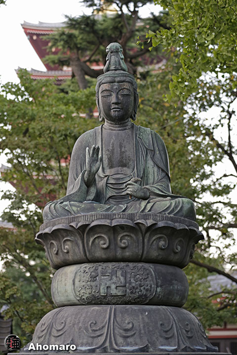 写真00