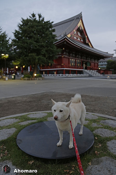 写真00