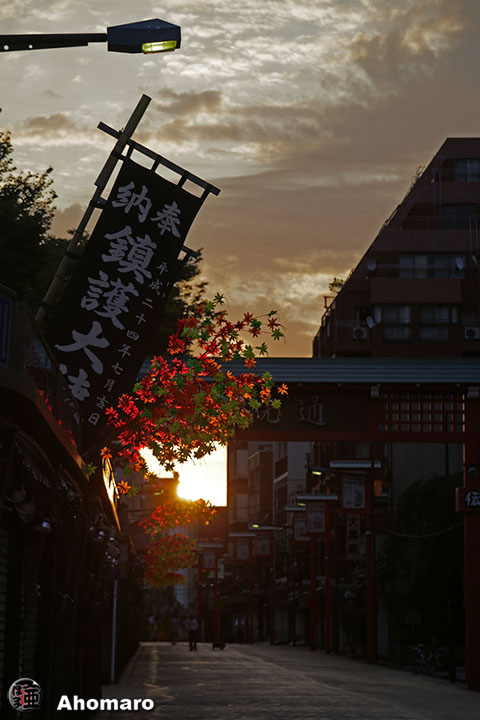 写真00