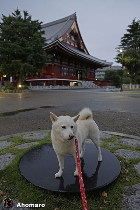 写真00