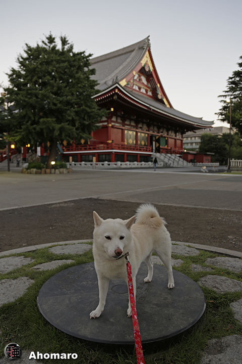 写真00