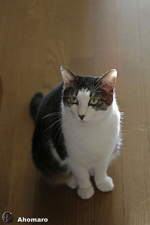 写真00