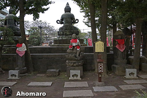 写真00