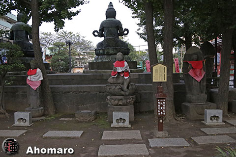 写真00