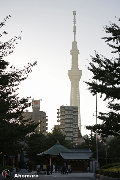写真00