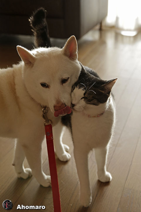 写真00