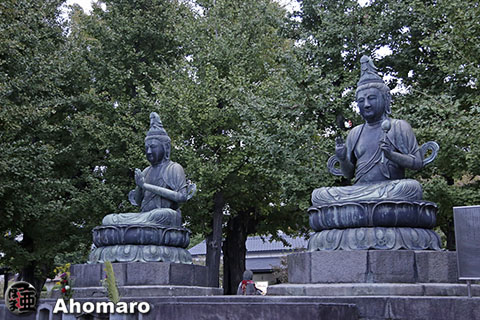 写真00