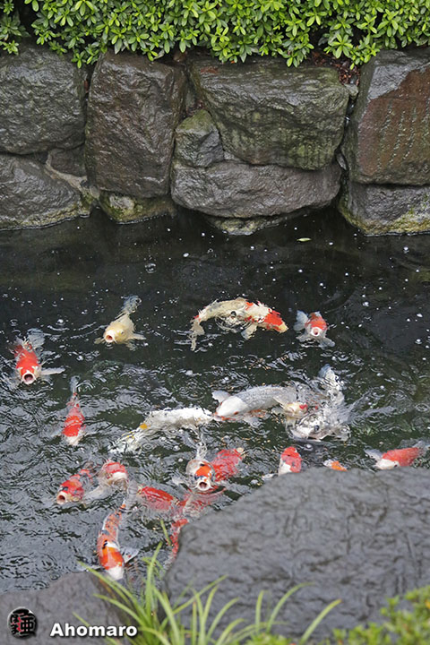 写真00