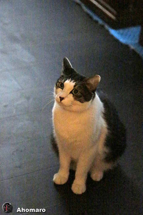 写真00
