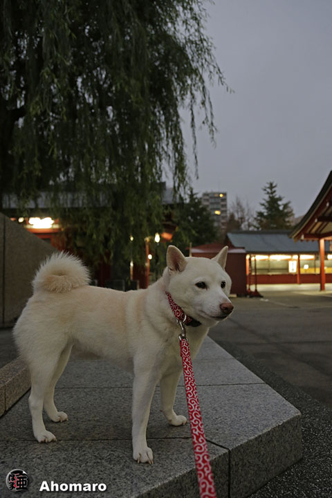 写真00