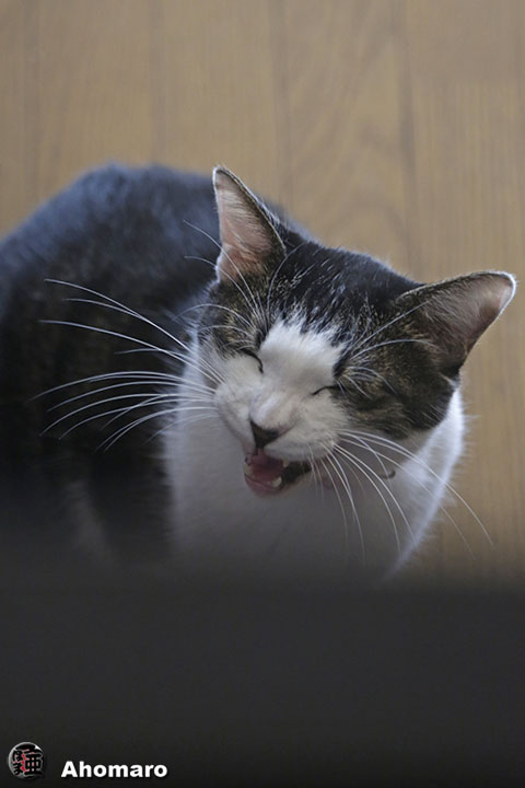 写真00