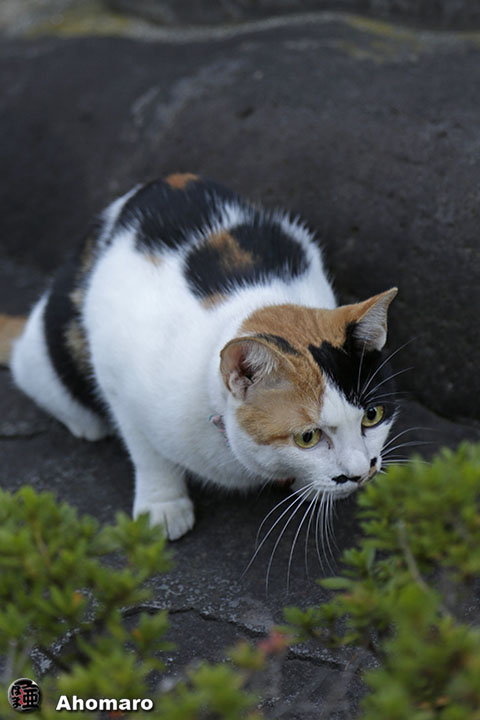 写真00