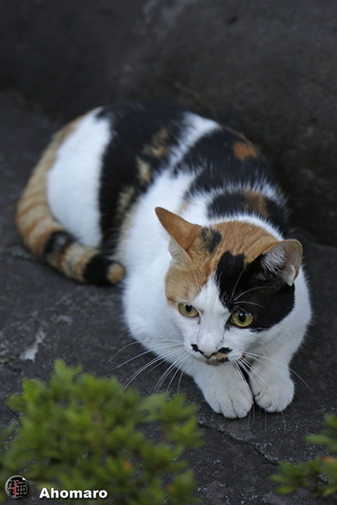 写真00
