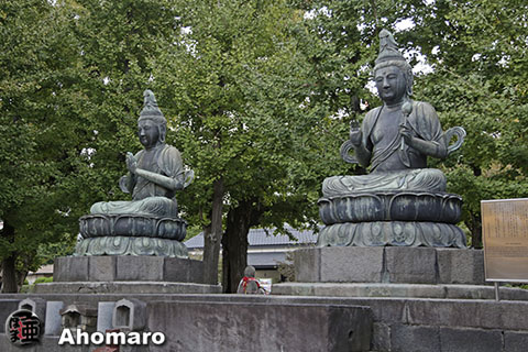 写真00