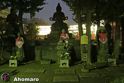 写真00