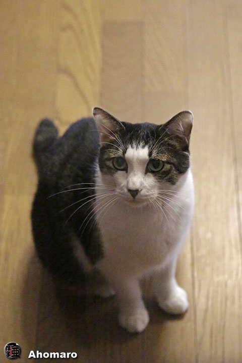 写真00