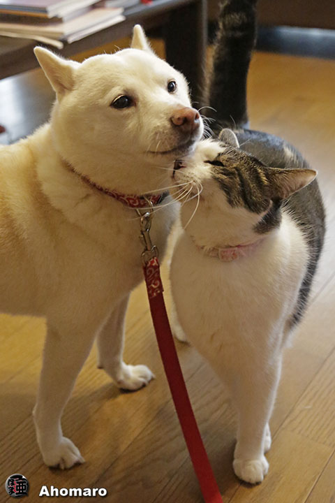 写真00