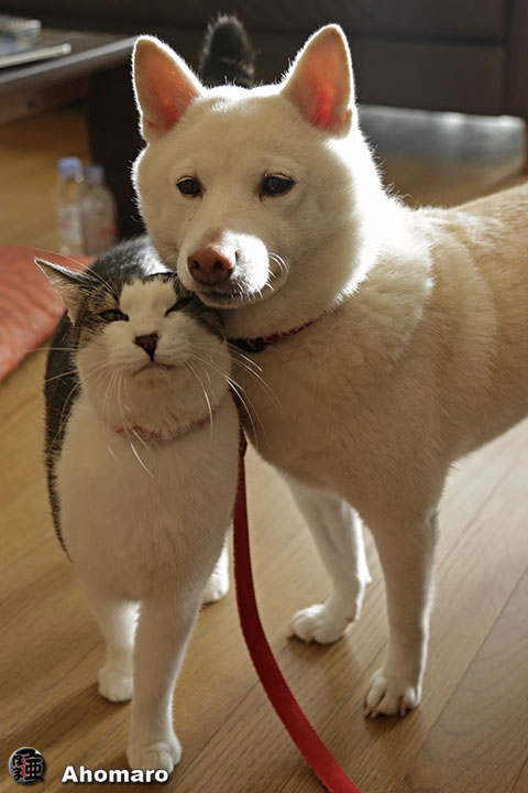写真00