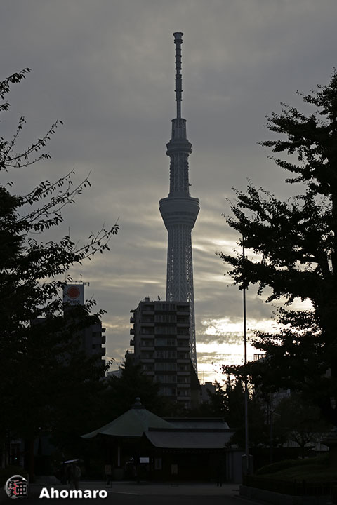 写真00