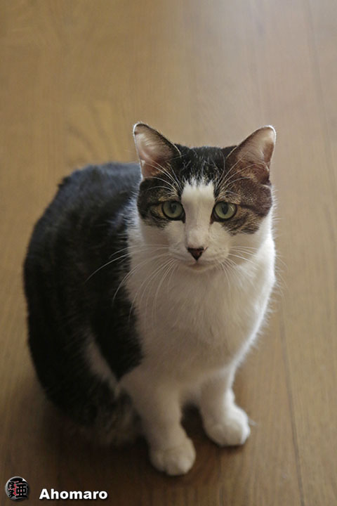 写真00