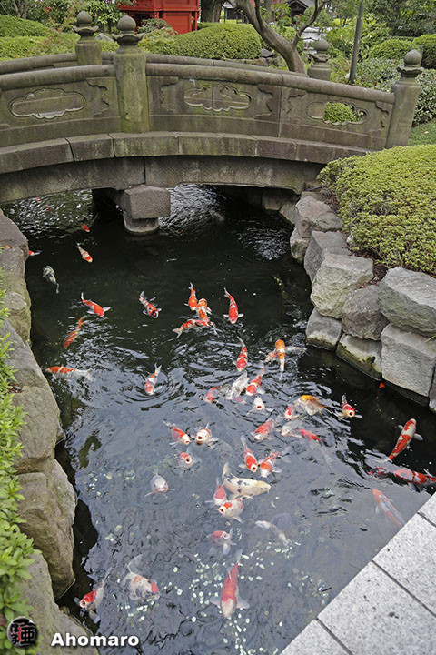 写真00