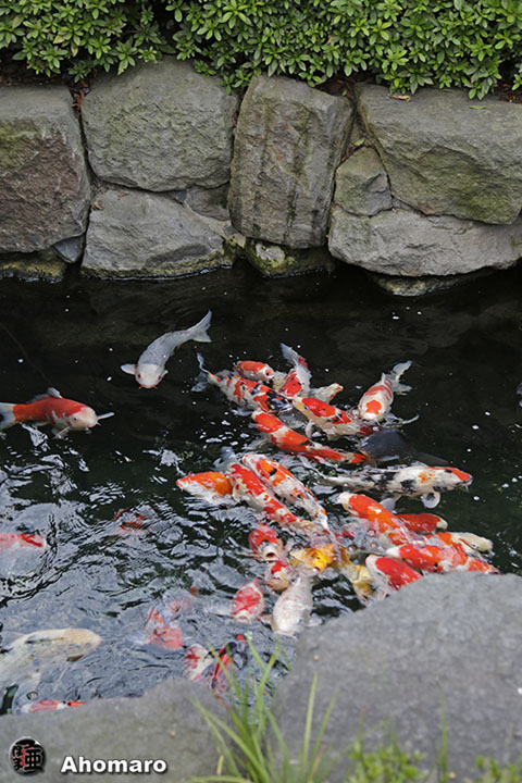 写真00