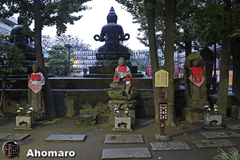 写真00
