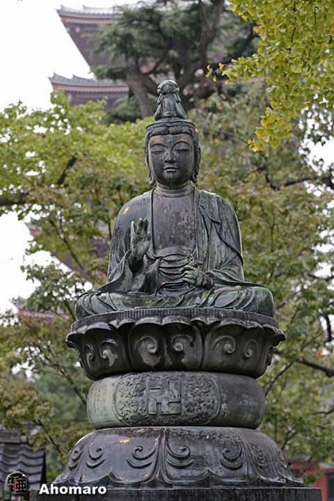 写真00