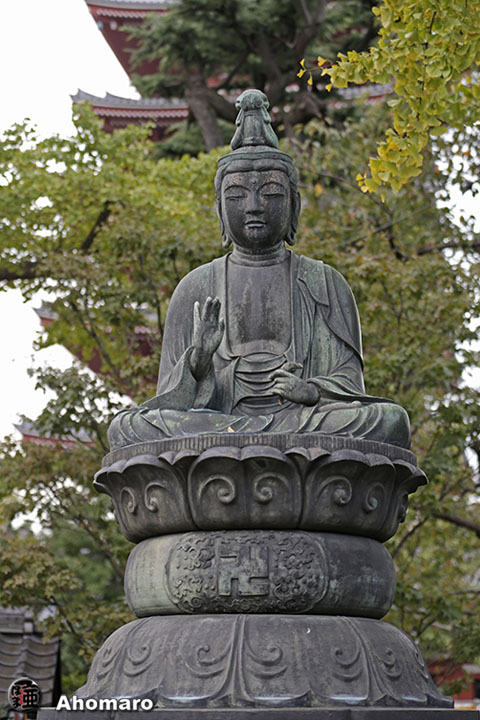 写真00