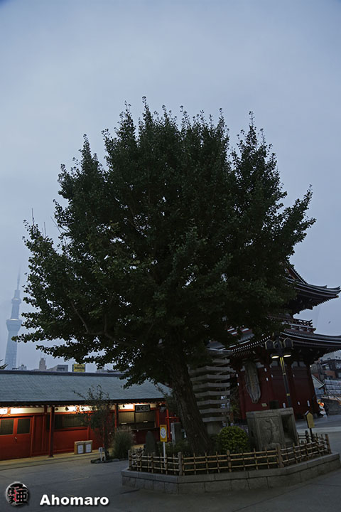 写真00