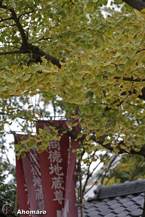写真00