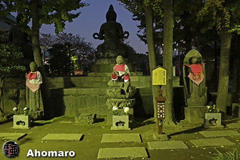 写真00