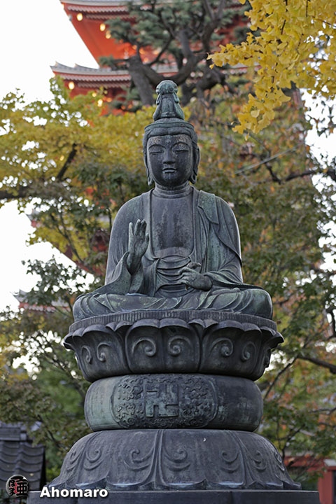 写真00