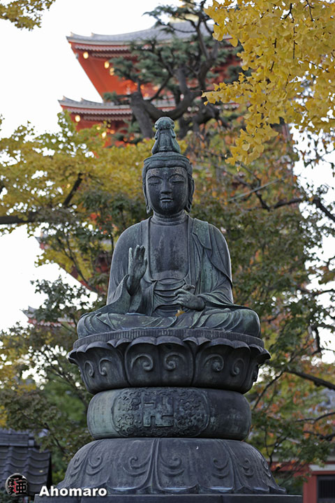 写真00