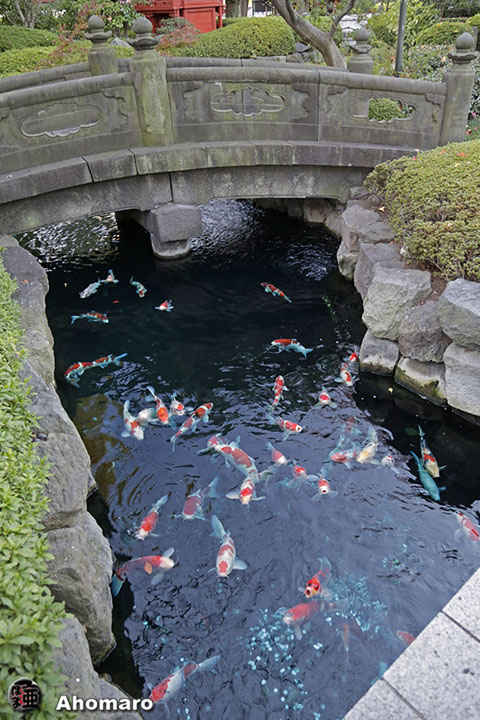 写真00