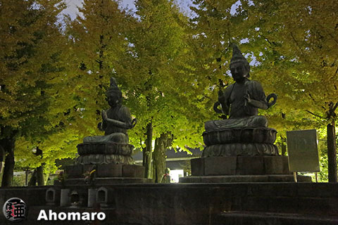 写真00