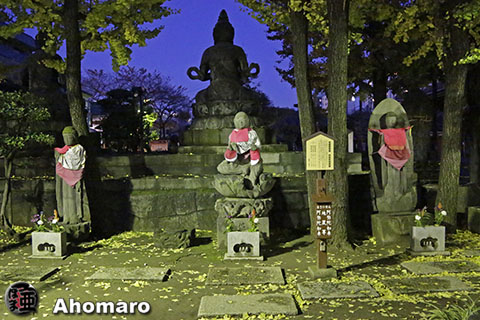 写真00